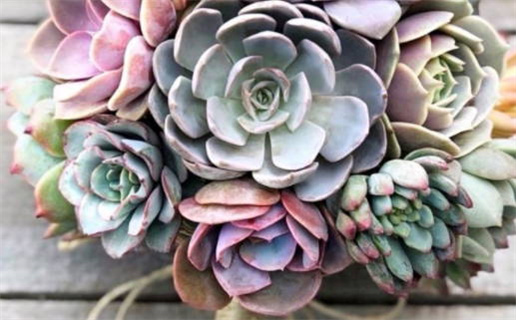 2027年03月06日是不是结婚吉日 今日办婚礼好吗 2027年03月06日是不是结婚吉日 今日办婚礼好吗