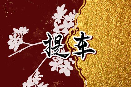 2027年08月14日提车好不好 提车买车吉利吗