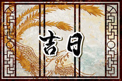 2026年11月01日是提车好日子吗 是提车好日子吗