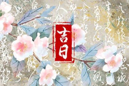 2025年12月11日提车好吗 今日提车买车好吗