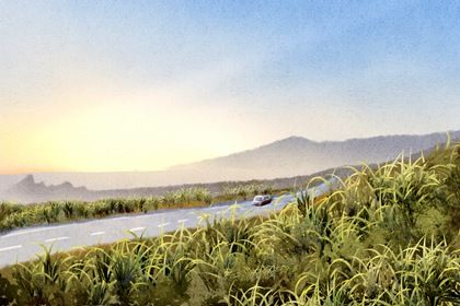 2026年农历六月十四提车好不好 宜提车买车吉日查询 2026年农历六月十四提车好不好 宜提车买车吉日查询