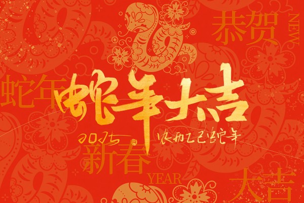 探秘2025:六爻占卜的奇幻之旅