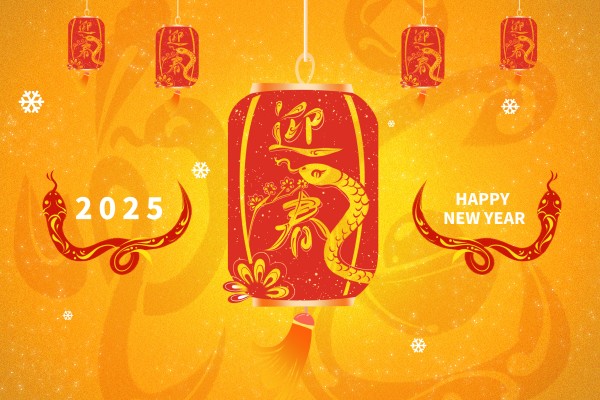 2025,双子座的奇幻命运之旅