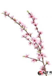 射手座是最强劲的星座,白羊座和射手座