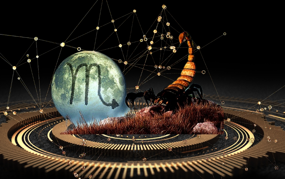 2025 天蝎座:破茧成蝶,运势大揭秘