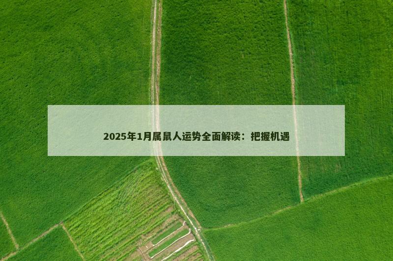 2025年1月属鼠人运势全面解读：把握机遇