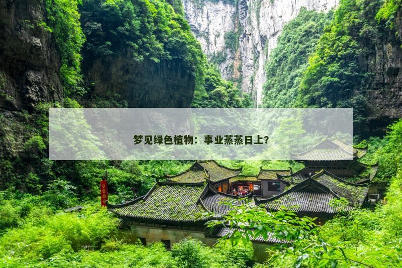 梦见绿色植物：事业蒸蒸日上？