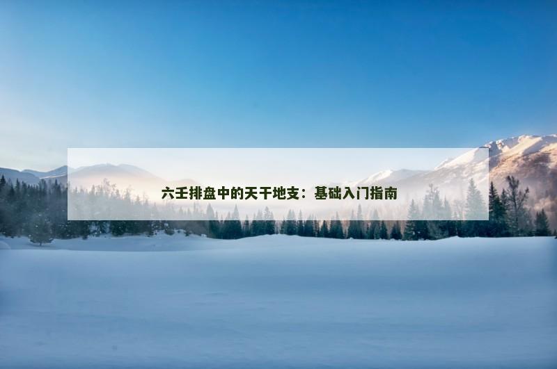 六壬排盘中的天干地支：基础入门指南