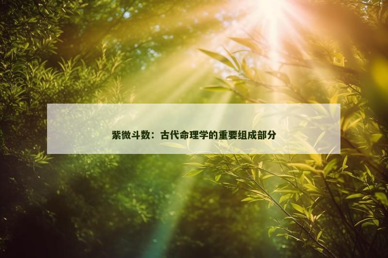 紫微斗数：古代命理学的重要组成部分