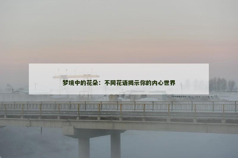 梦境中的花朵：不同花语揭示你的内心世界