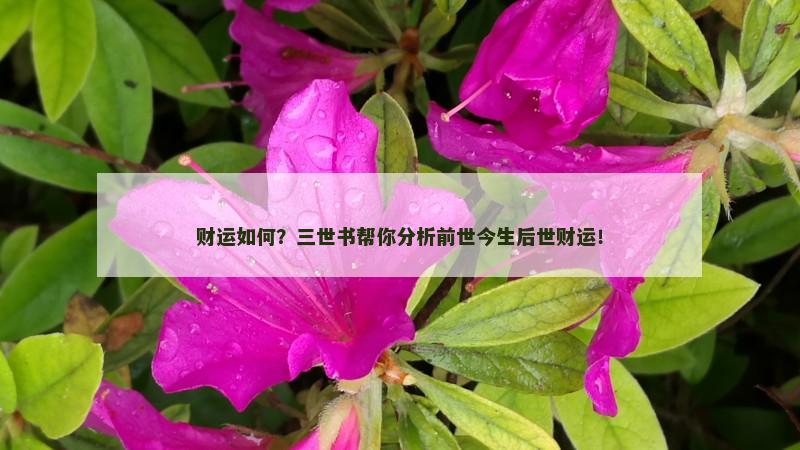 财运如何？三世书帮你分析前世今生后世财运！