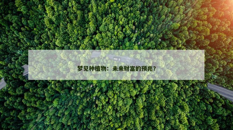 梦见种植物：未来财富的预兆？