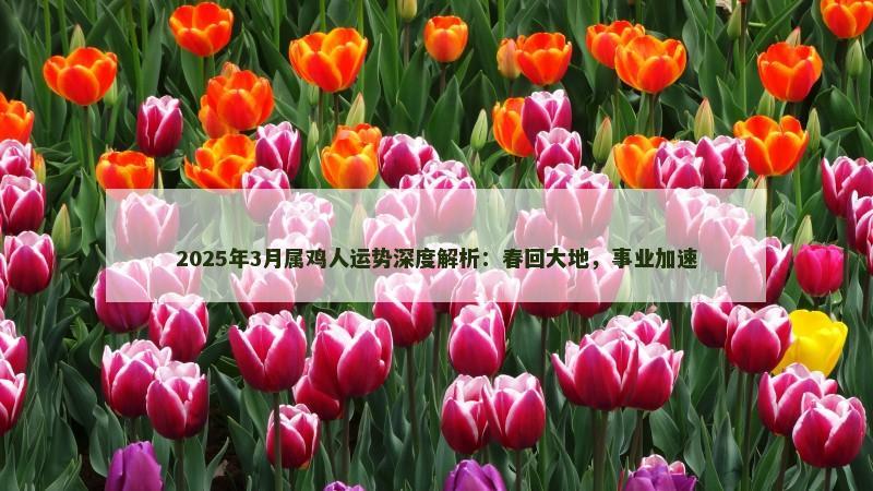 2025年3月属鸡人运势深度解析：春回大地，事业加速