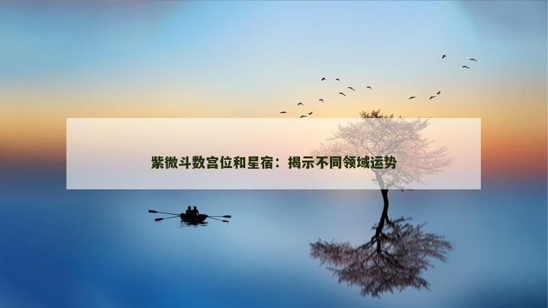 紫微斗数宫位和星宿：揭示不同领域运势