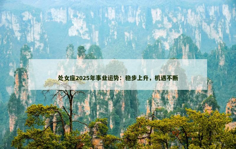 处女座2025年事业运势:稳步上升,机遇不断