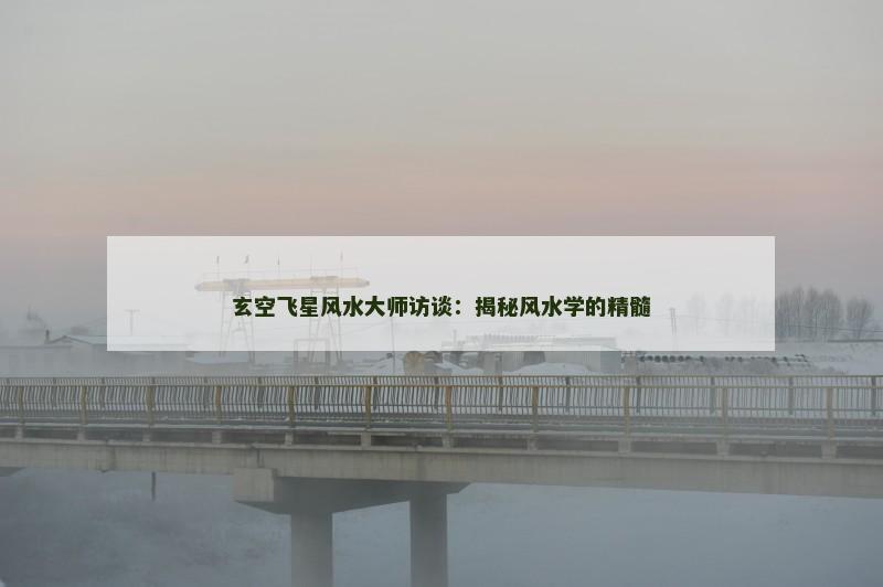 玄空飞星风水大师访谈：揭秘风水学的精髓