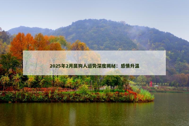 2025年2月属狗人运势深度揭秘：感情升温
