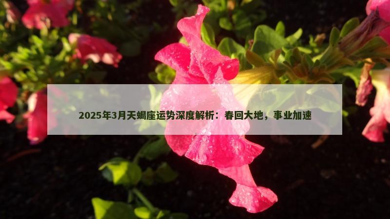 2025年3月天蝎座运势深度解析：春回大地，事业加速