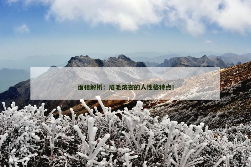 面相解析：眉毛浓密的人性格特点！