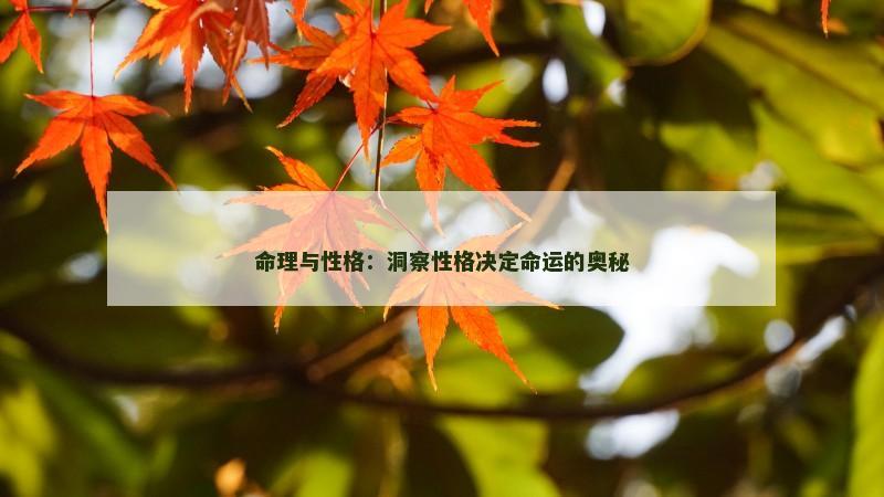 命理与性格：洞察性格决定命运的奥秘