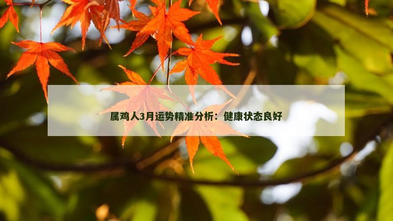 属鸡人3月运势精准分析：健康状态良好