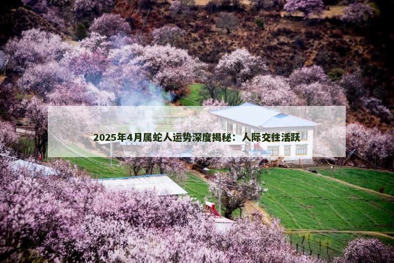 2025年4月属蛇人运势深度揭秘：人际交往活跃