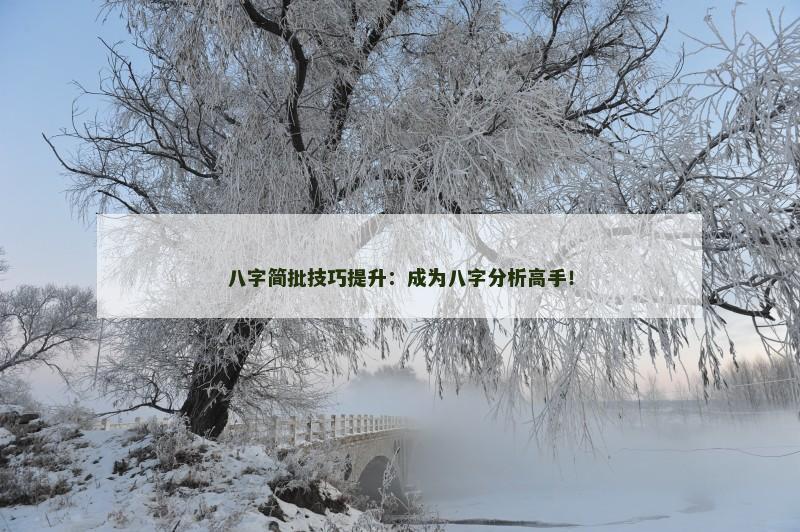八字简批技巧提升：成为八字分析高手！