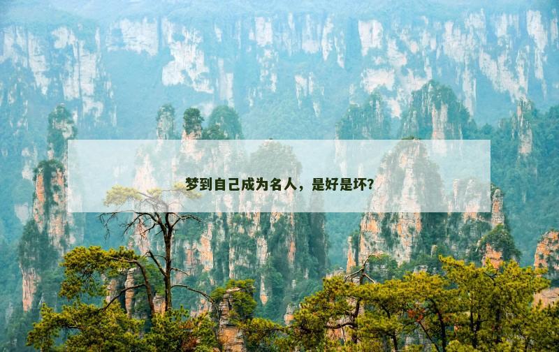 梦到自己成为名人，是好是坏？