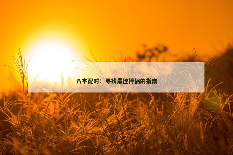 八字配对：寻找最佳伴侣的指南