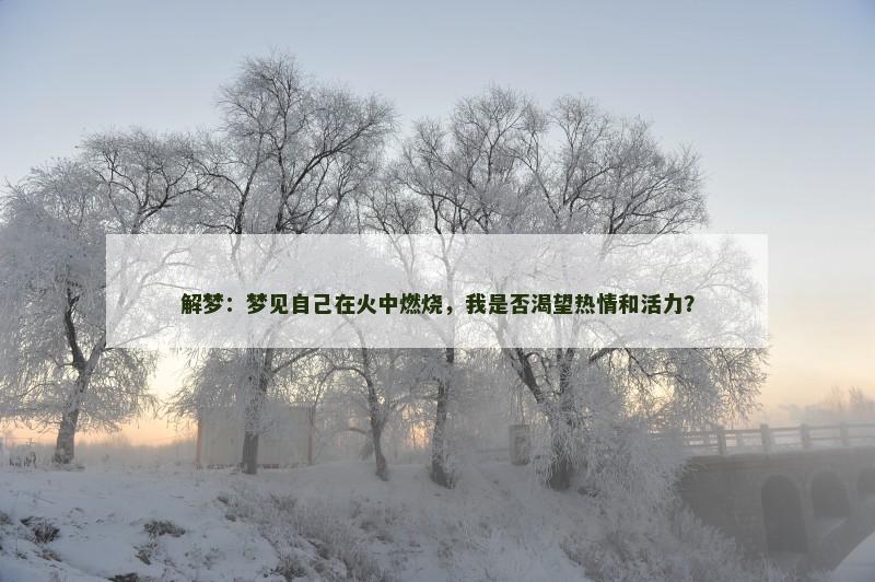 解梦：梦见自己在火中燃烧，我是否渴望热情和活力？