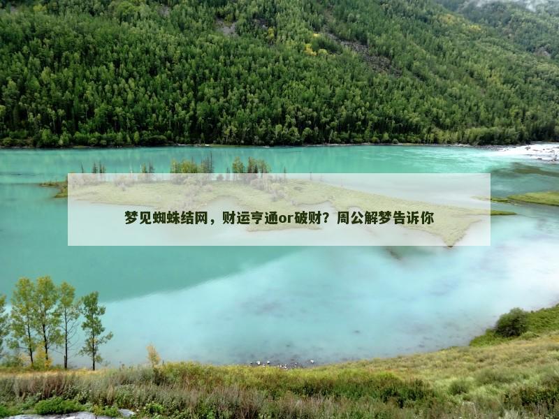 梦见蜘蛛结网，财运亨通or破财？周公解梦告诉你