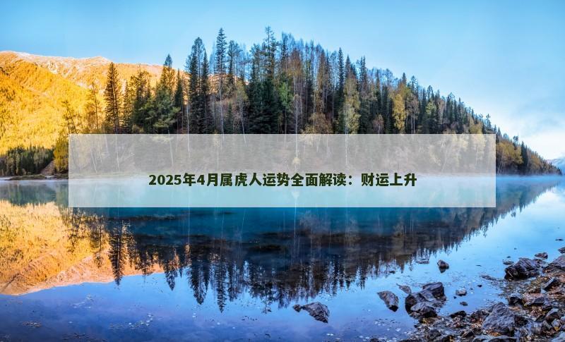 2025年4月属虎人运势全面解读：财运上升