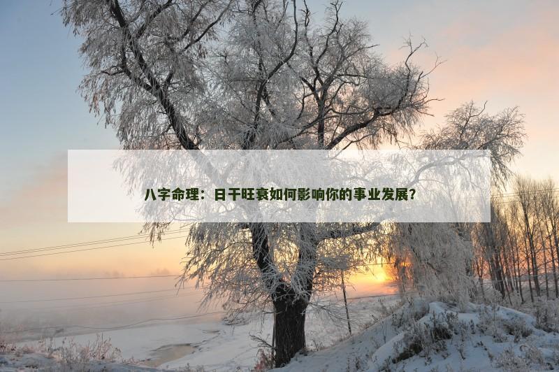 八字命理：日干旺衰如何影响你的事业发展？