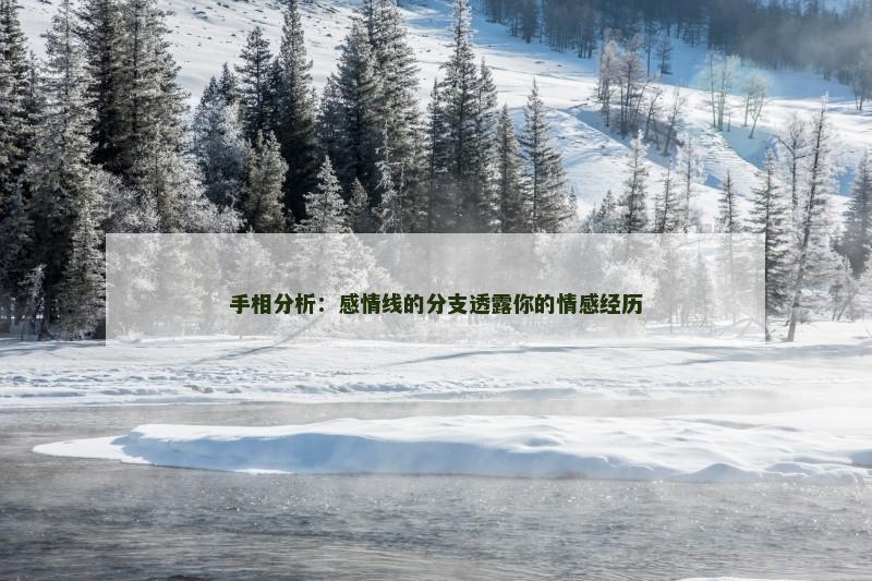 手相分析：感情线的分支透露你的情感经历