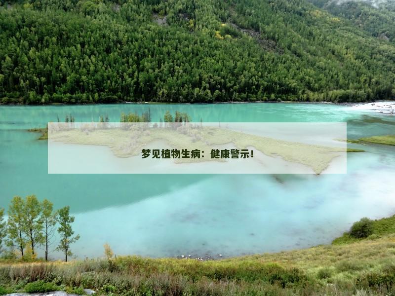 梦见植物生病：健康警示！