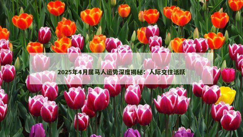 2025年4月属马人运势深度揭秘：人际交往活跃