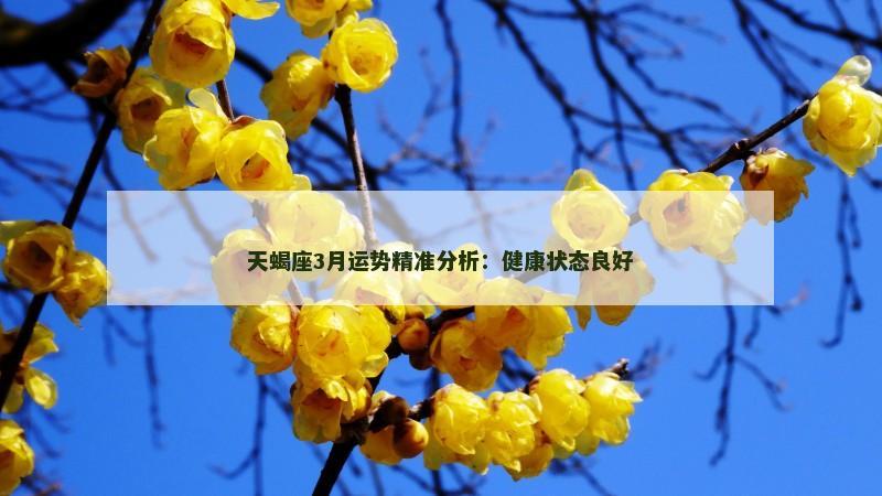 天蝎座3月运势精准分析:健康状态良好