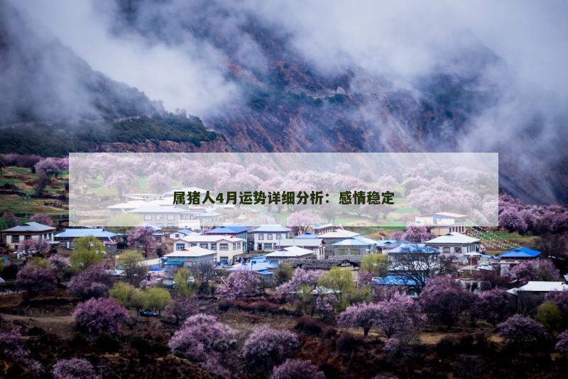 属猪人4月运势详细分析：感情稳定