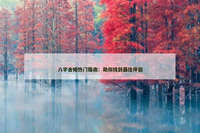 八字合婚热门指南：助你找到最佳伴侣