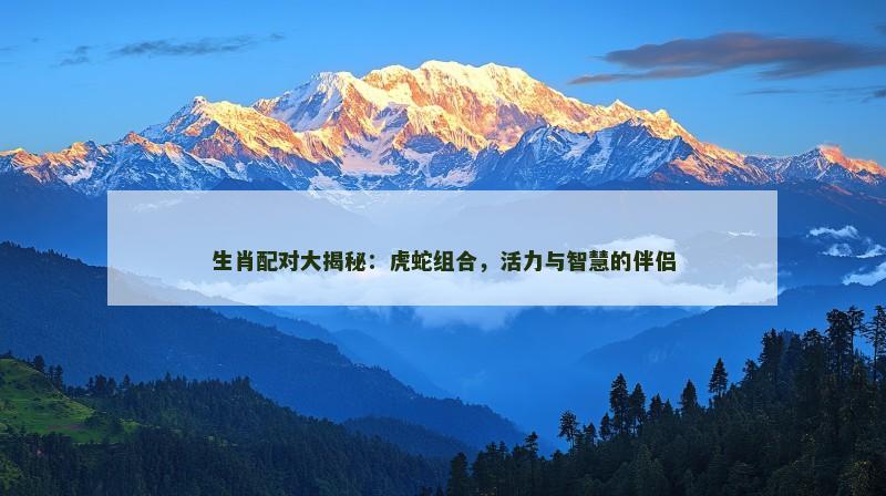 生肖配对大揭秘：虎蛇组合，活力与智慧的伴侣