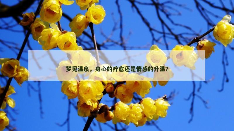 梦见温泉，身心的疗愈还是情感的升温？