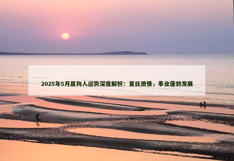2025年5月属狗人运势深度解析：夏日激情，事业蓬勃发展