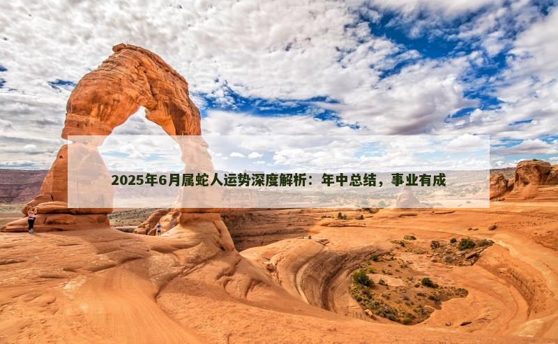 2025年6月属蛇人运势深度解析：年中总结，事业有成