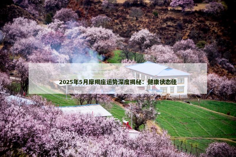2025年5月摩羯座运势深度揭秘：健康状态佳