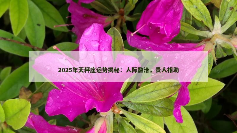 2025年天秤座运势揭秘：人际融洽，贵人相助