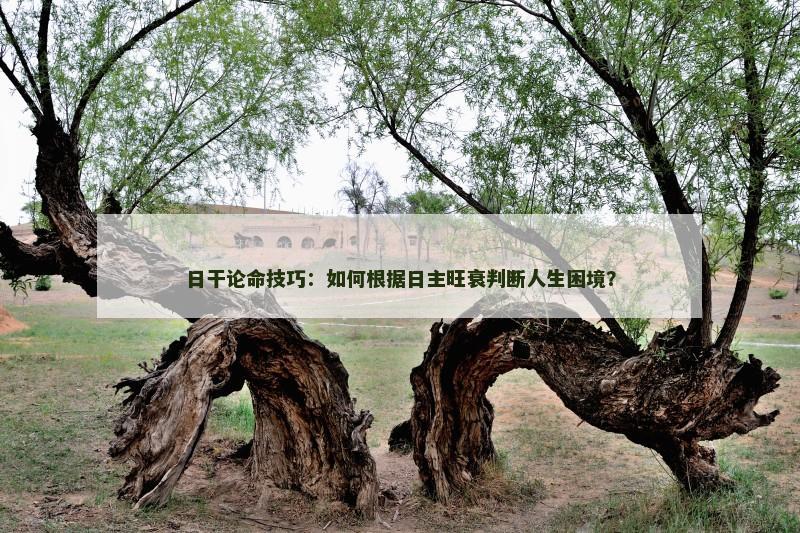 日干论命技巧：如何根据日主旺衰判断人生困境？