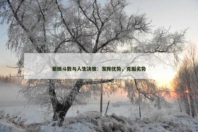 紫微斗数与人生决策:发挥优势,克服劣势