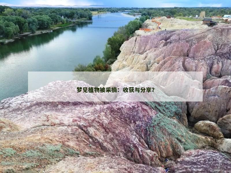 梦见植物被采摘：收获与分享？