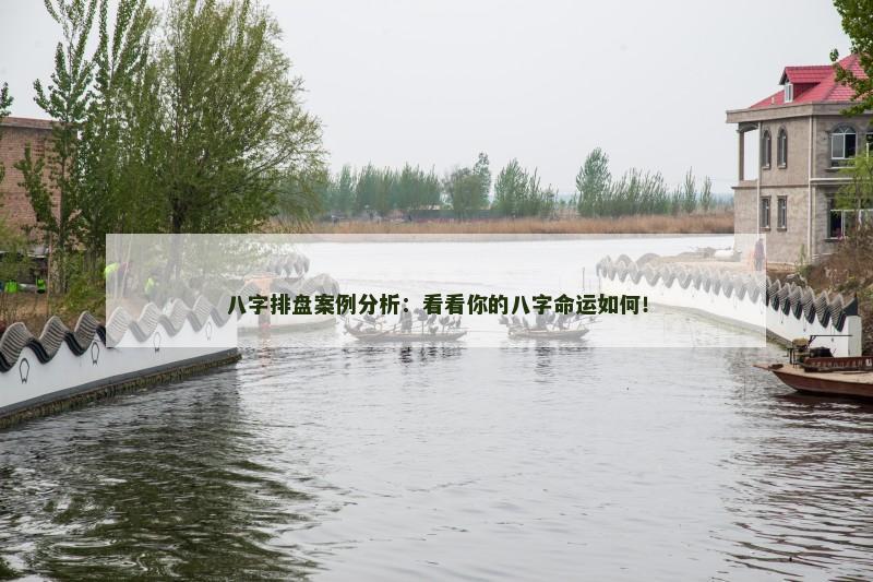 八字排盘案例分析：看看你的八字命运如何！