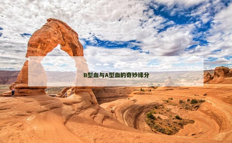 B型血与A型血的奇妙缘分